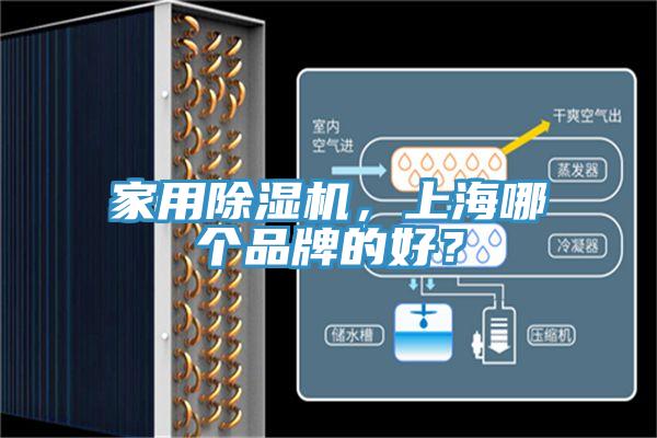 家用除濕機(jī)，上海哪個(gè)品牌的好？