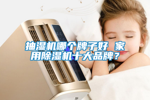 抽濕機哪個牌子好 家用除濕機十大品牌？
