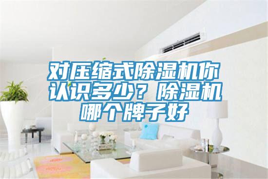 對(duì)壓縮式除濕機(jī)你認(rèn)識(shí)多少？除濕機(jī)哪個(gè)牌子好