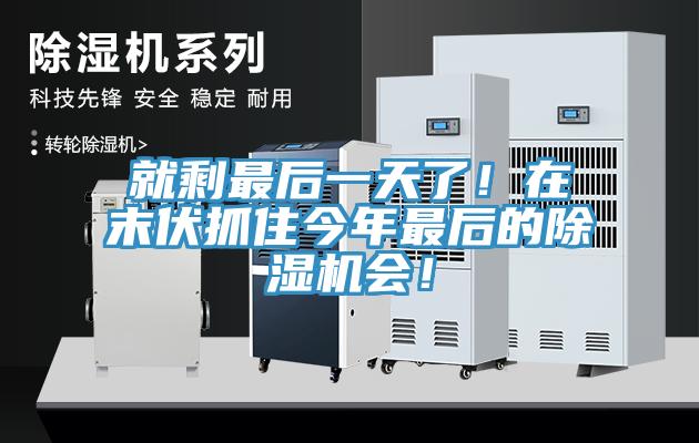 就剩最后一天了！在末伏抓住今年最后的除濕機(jī)會(huì)！