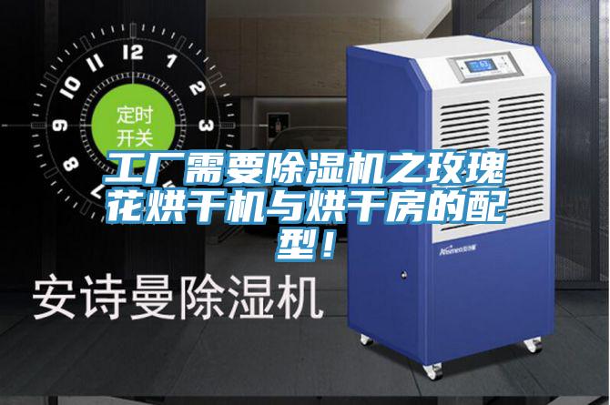 工廠需要除濕機之玫瑰花烘干機與烘干房的配型！