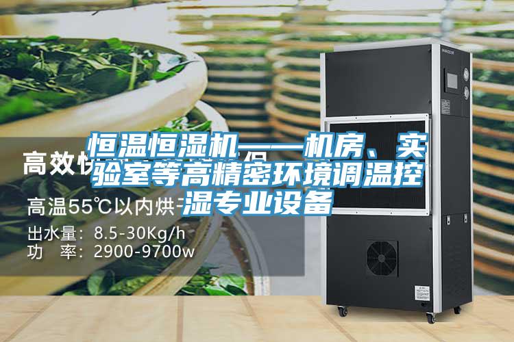 恒溫恒濕機(jī)——機(jī)房、實(shí)驗(yàn)室等高精密環(huán)境調(diào)溫控濕專業(yè)設(shè)備