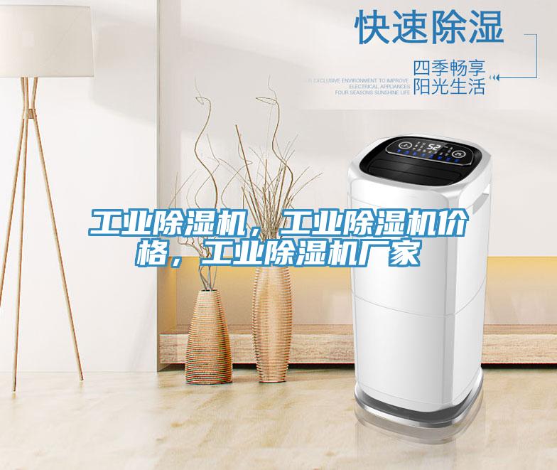 工業(yè)除濕機，工業(yè)除濕機價格，工業(yè)除濕機廠家