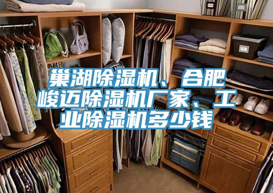巢湖除濕機、合肥峻邁除濕機廠家、工業(yè)除濕機多少錢