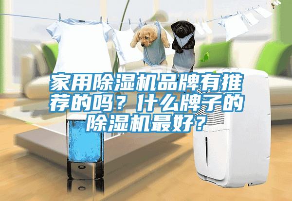 家用除濕機(jī)品牌有推薦的嗎？什么牌子的除濕機(jī)最好？