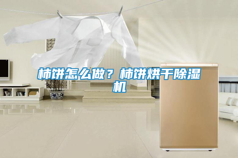 柿餅怎么做？柿餅烘干除濕機(jī)