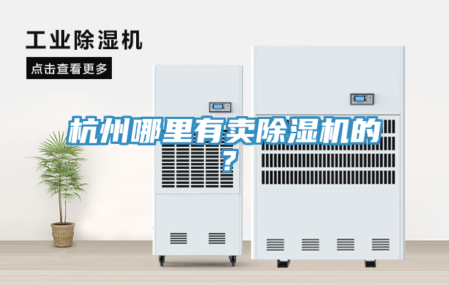 杭州哪里有賣除濕機的？