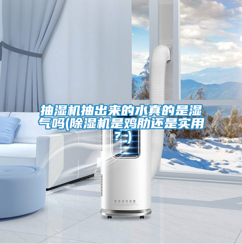 抽濕機(jī)抽出來的水真的是濕氣嗎(除濕機(jī)是雞肋還是實(shí)用？)
