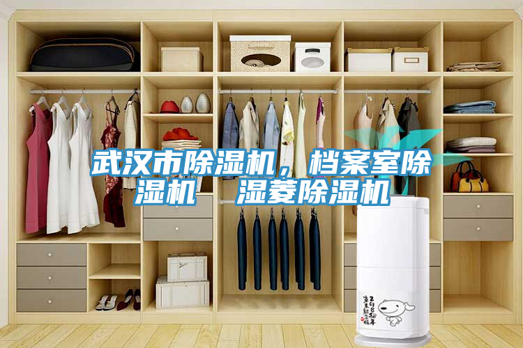 武漢市除濕機(jī)，檔案室除濕機(jī)  濕菱除濕機(jī)