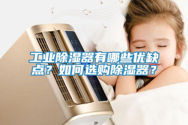工業(yè)除濕器有哪些優(yōu)缺點(diǎn)？如何選購(gòu)除濕器？