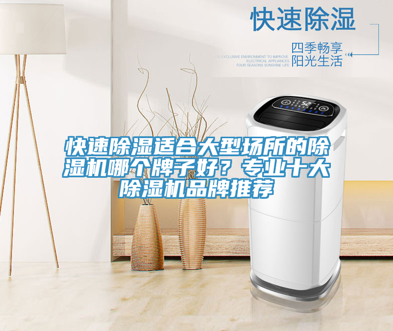 快速除濕適合大型場所的除濕機哪個牌子好？專業(yè)十大除濕機品牌推薦