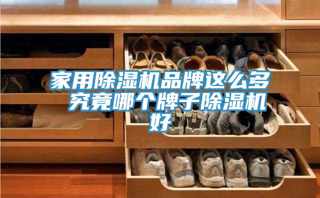 家用除濕機(jī)品牌這么多 究竟哪個牌子除濕機(jī)好