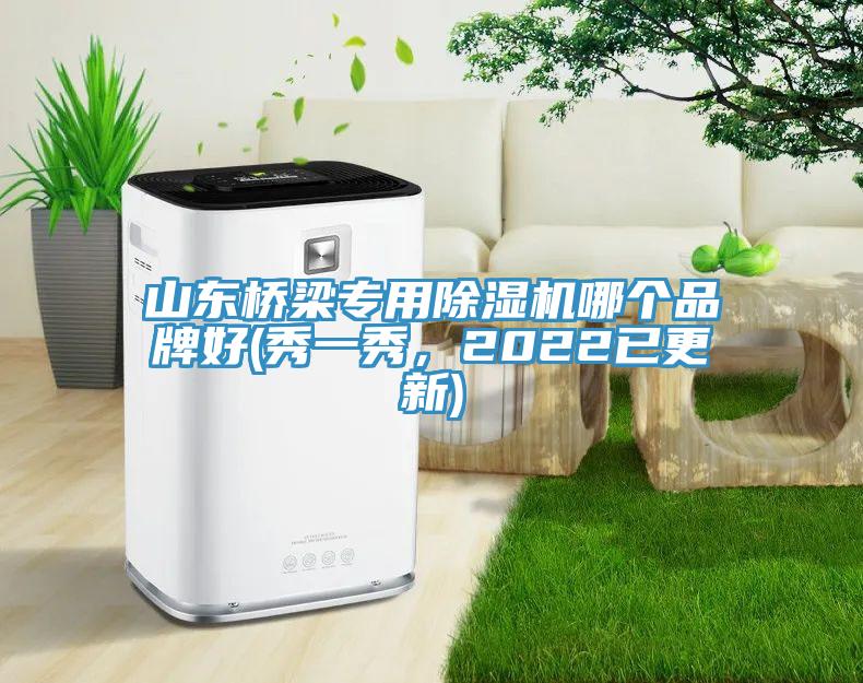 山東橋梁專用除濕機(jī)哪個(gè)品牌好(秀一秀，2022已更新)