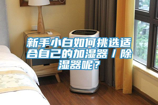 新手小白如何挑選適合自己的加濕器／除濕器呢？