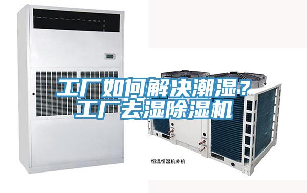 工廠如何解決潮濕？工廠去濕除濕機