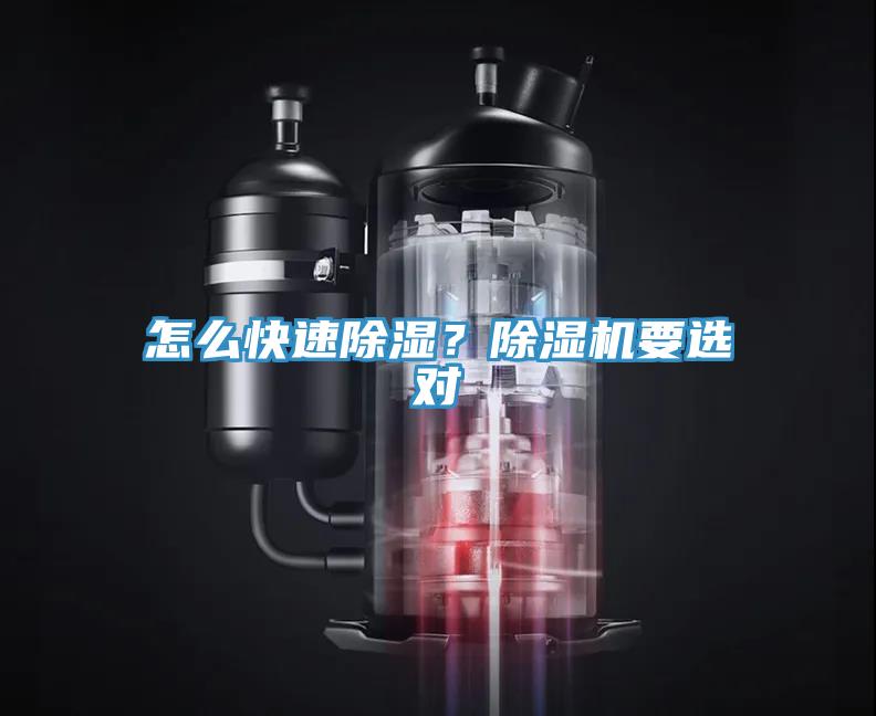怎么快速除濕？除濕機要選對