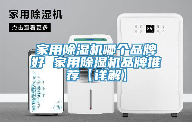 家用除濕機(jī)哪個品牌好 家用除濕機(jī)品牌推薦【詳解】