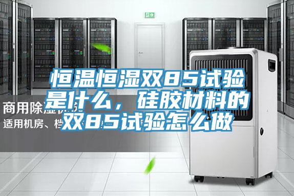 恒溫恒濕雙85試驗(yàn)是什么，硅膠材料的雙85試驗(yàn)怎么做
