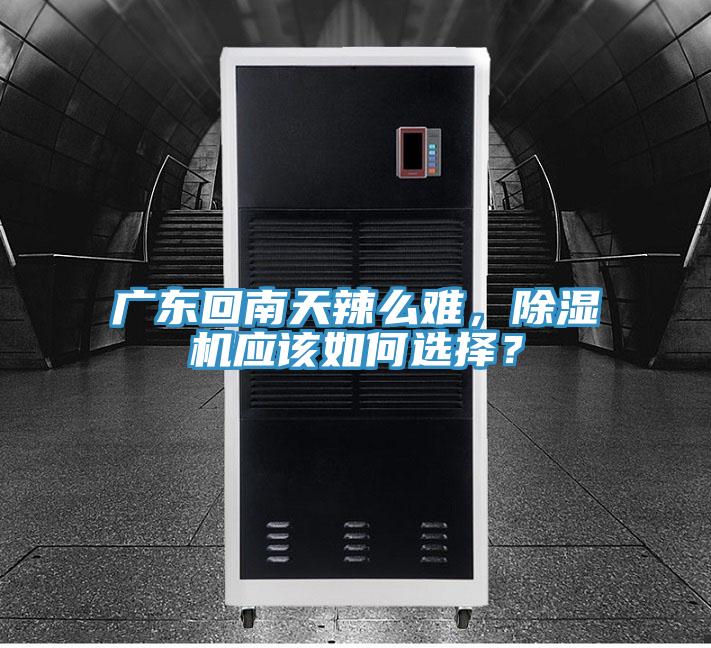 廣東回南天辣么難，除濕機(jī)應(yīng)該如何選擇？