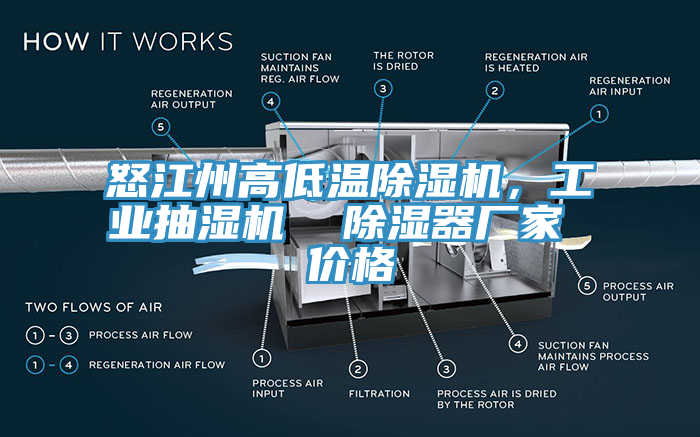 怒江州高低溫除濕機(jī)，工業(yè)抽濕機(jī)  除濕器廠家 價(jià)格