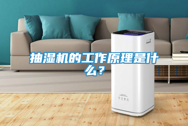 抽濕機(jī)的工作原理是什么？