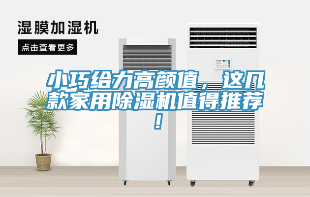 小巧給力高顏值，這幾款家用除濕機(jī)值得推薦！