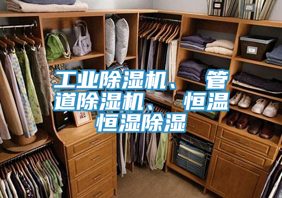 工業(yè)除濕機、 管道除濕機、 恒溫恒濕除濕