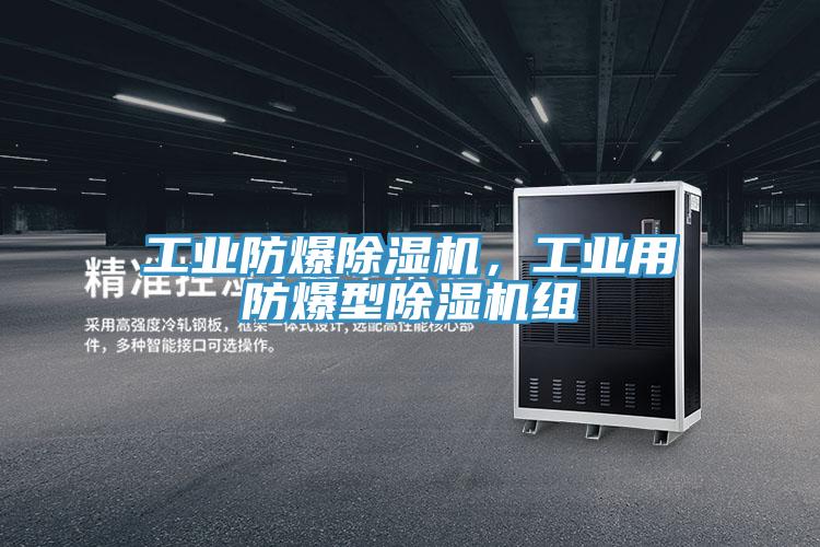 工業(yè)防爆除濕機，工業(yè)用防爆型除濕機組