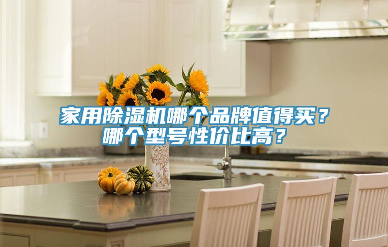 家用除濕機(jī)哪個品牌值得買？哪個型號性價比高？