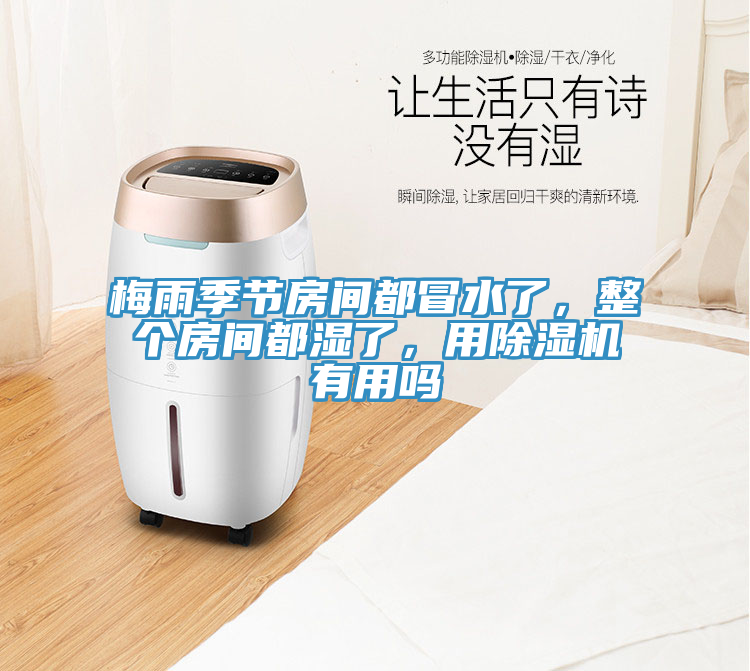 梅雨季節(jié)房間都冒水了，整個房間都濕了，用除濕機有用嗎