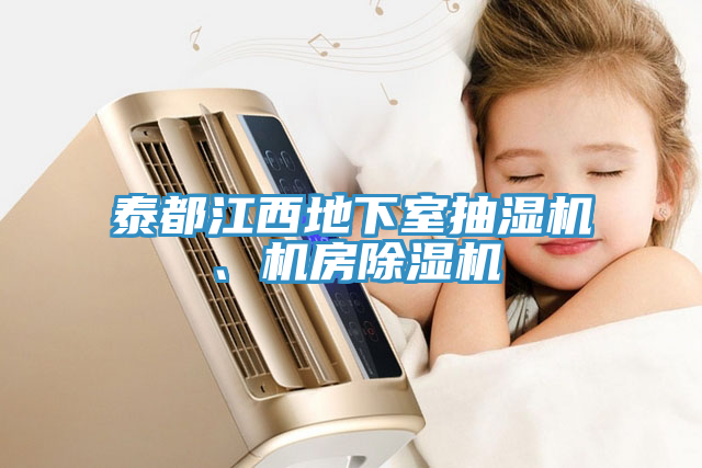泰都江西地下室抽濕機、機房除濕機
