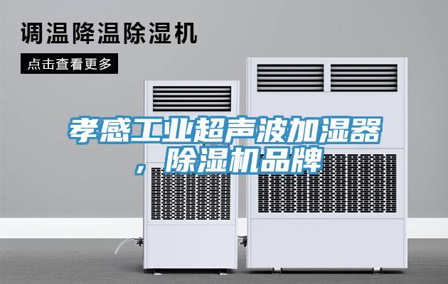 孝感工業(yè)超聲波加濕器，除濕機(jī)品牌