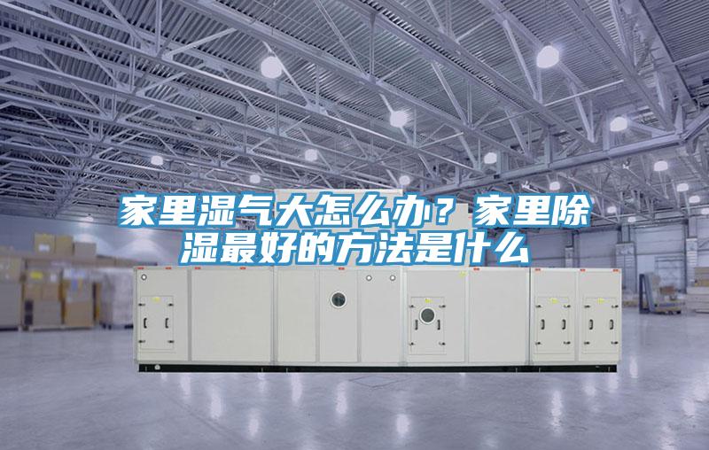 家里濕氣大怎么辦？家里除濕最好的方法是什么