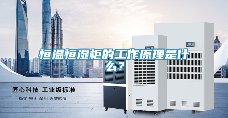 恒溫恒濕柜的工作原理是什么？