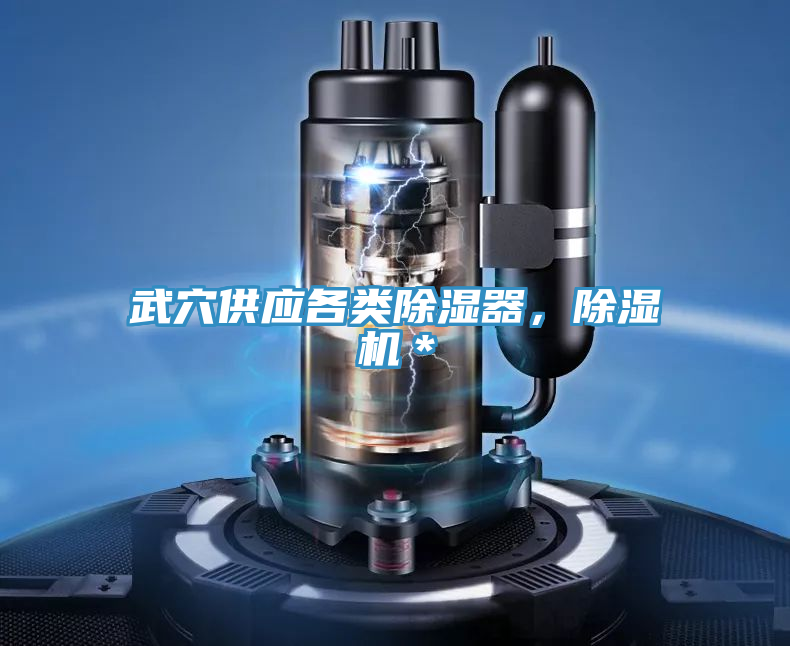 武穴供應(yīng)各類除濕器，除濕機＊