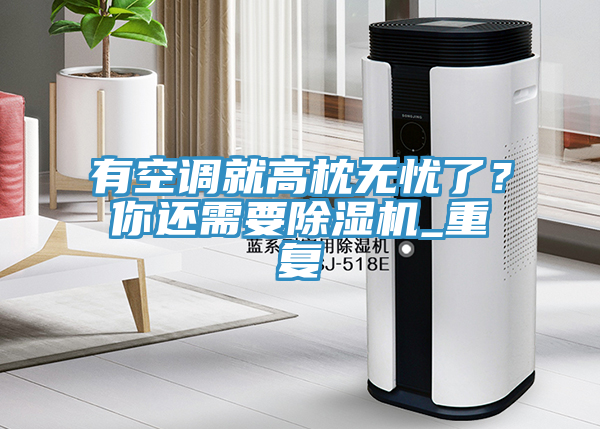 有空調(diào)就高枕無憂了？你還需要除濕機_重復