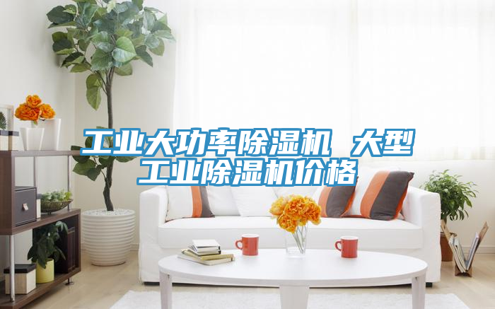 工業(yè)大功率除濕機(jī) 大型工業(yè)除濕機(jī)價格