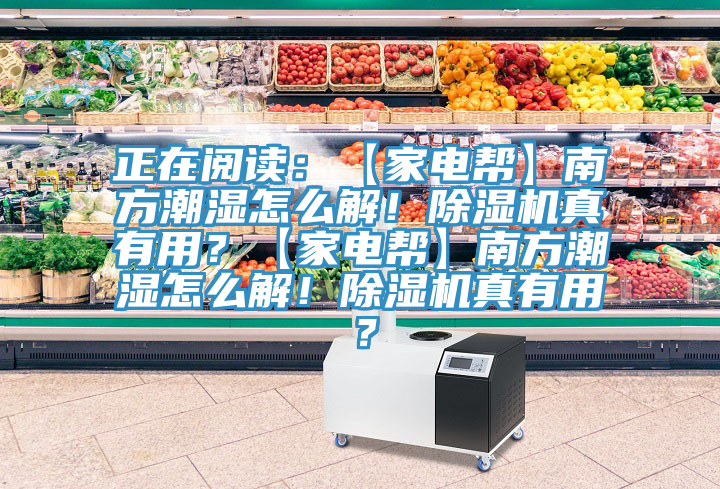 正在閱讀：【家電幫】南方潮濕怎么解！除濕機(jī)真有用？【家電幫】南方潮濕怎么解！除濕機(jī)真有用？