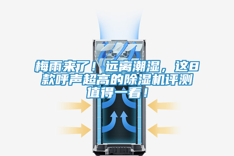 梅雨來了！遠(yuǎn)離潮濕，這8款呼聲超高的除濕機評測值得一看！