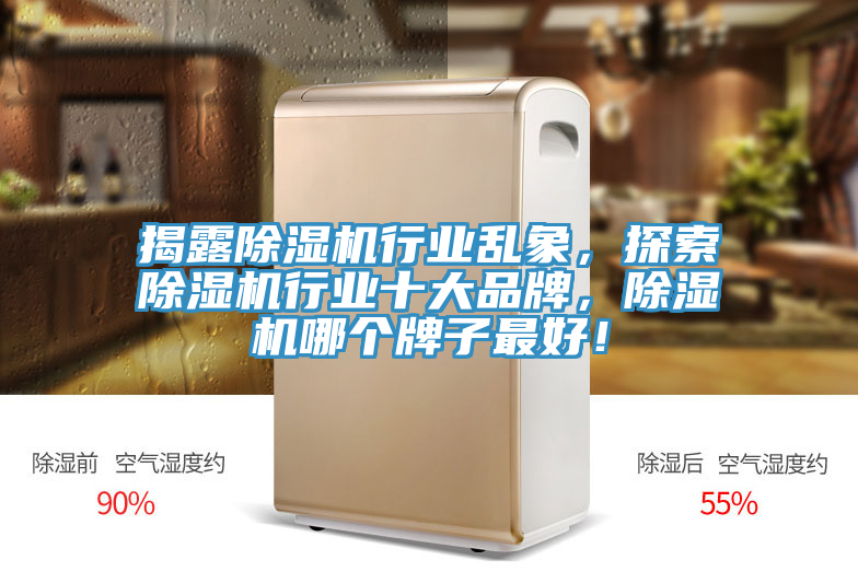 揭露除濕機行業(yè)亂象，探索除濕機行業(yè)十大品牌，除濕機哪個牌子最好！