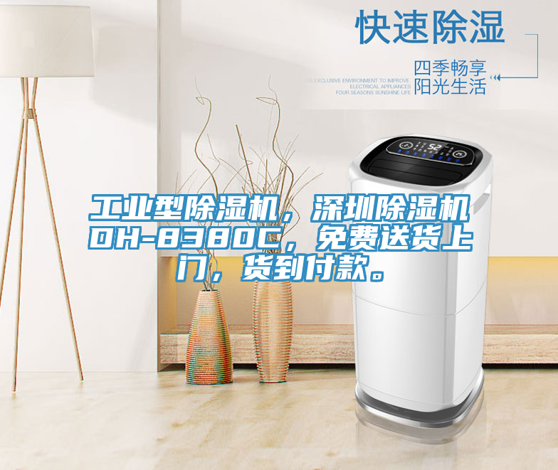 工業(yè)型除濕機(jī)，深圳除濕機(jī)DH-8380C，免費送貨上門，貨到付款。