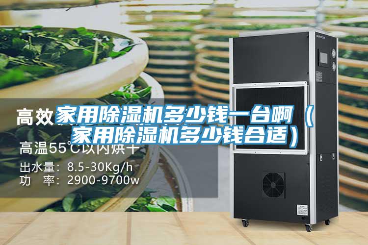 家用除濕機(jī)多少錢(qián)一臺(tái)?。矣贸凉駲C(jī)多少錢(qián)合適）