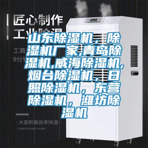 山東除濕機，除濕機廠家,青島除濕機,威海除濕機,煙臺除濕機，日照除濕機，東營除濕機，濰坊除濕機