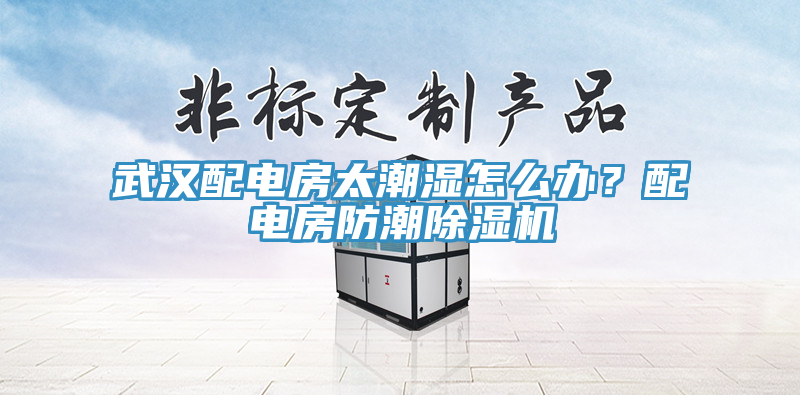 武漢配電房太潮濕怎么辦？配電房防潮除濕機(jī)