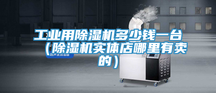 工業(yè)用除濕機(jī)多少錢一臺（除濕機(jī)實體店哪里有賣的）