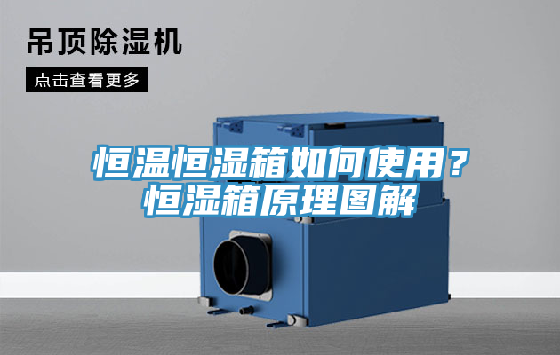 恒溫恒濕箱如何使用？恒濕箱原理圖解