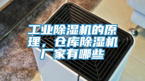工業(yè)除濕機的原理，倉庫除濕機廠家有哪些