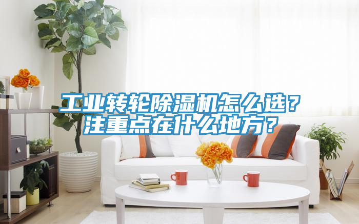工業(yè)轉輪除濕機怎么選？注重點在什么地方？