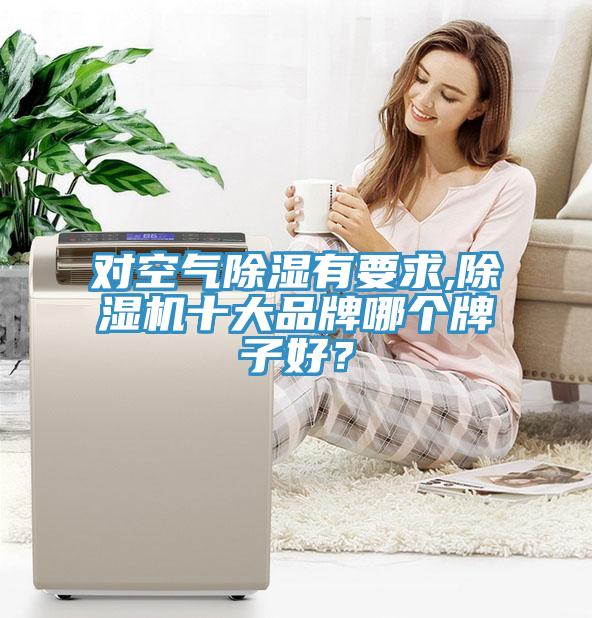 對空氣除濕有要求,除濕機十大品牌哪個牌子好？