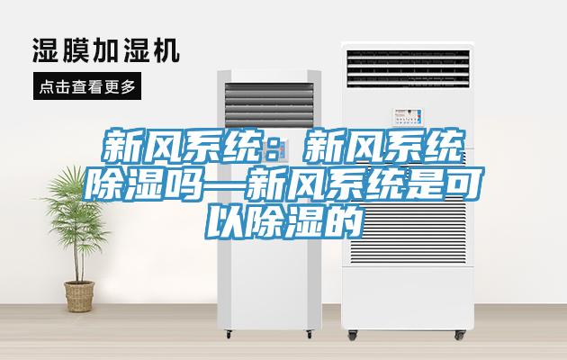 新風系統(tǒng)：新風系統(tǒng)除濕嗎—新風系統(tǒng)是可以除濕的